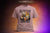 BEER with BEAR | Unisex Classic Crew T-Shirt