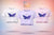 REBORN | Crop Top