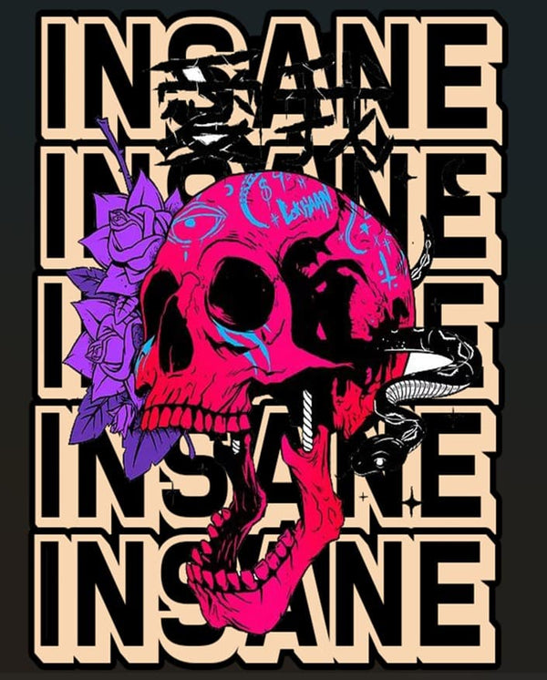 INSANE | Unisex Oversized T-Shirt